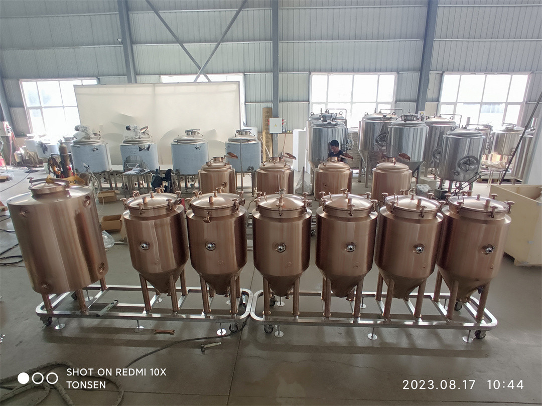 Equipo de Micro Cervecería de 100l mediante proceso de galvanoplastia.