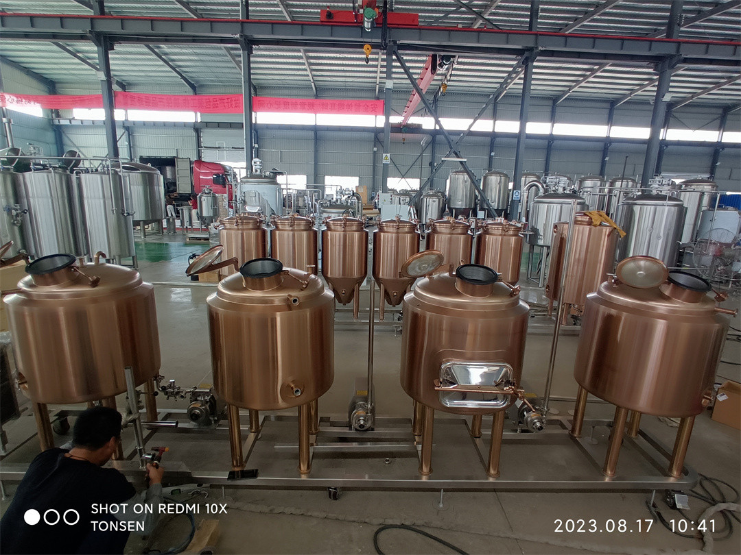 Equipo de Micro Cervecería de 100l mediante proceso de galvanoplastia.
