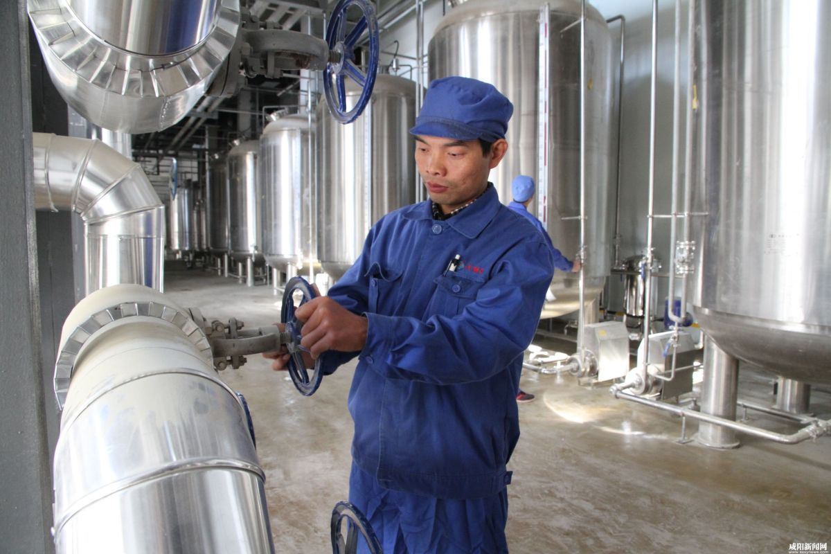 Tanque de fermentación de 1500L