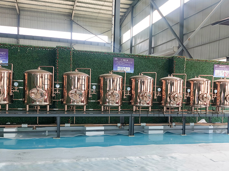 Réservoir de bière brillant 1000L