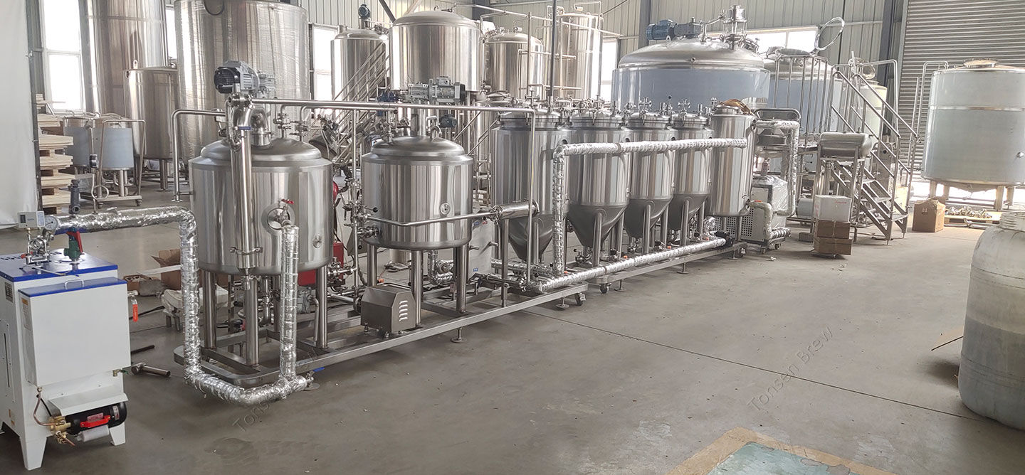 Tout-en-un 100L 200L Micro équipement de brasserie de bière domestique