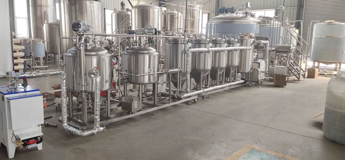 Tout-en-un 100L 200L Micro équipement de brasserie de bière domestique