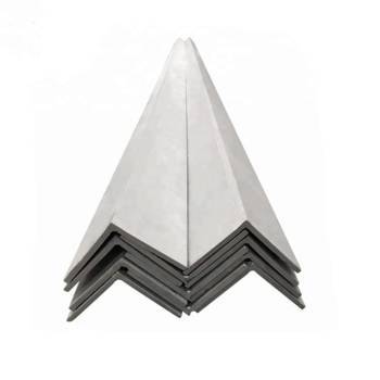 Stainless Steel Angle
