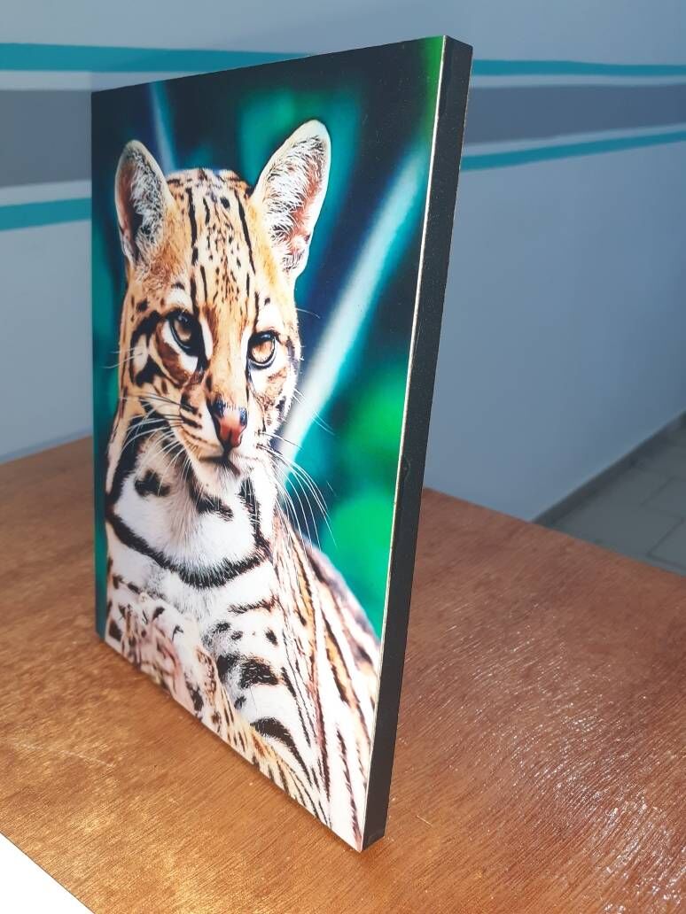 Foto Madera