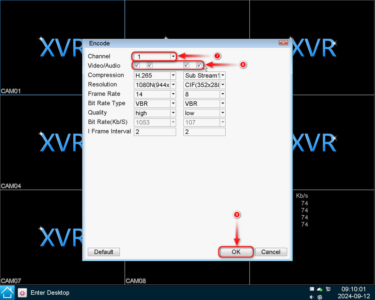 How to setup audio in the XVR?