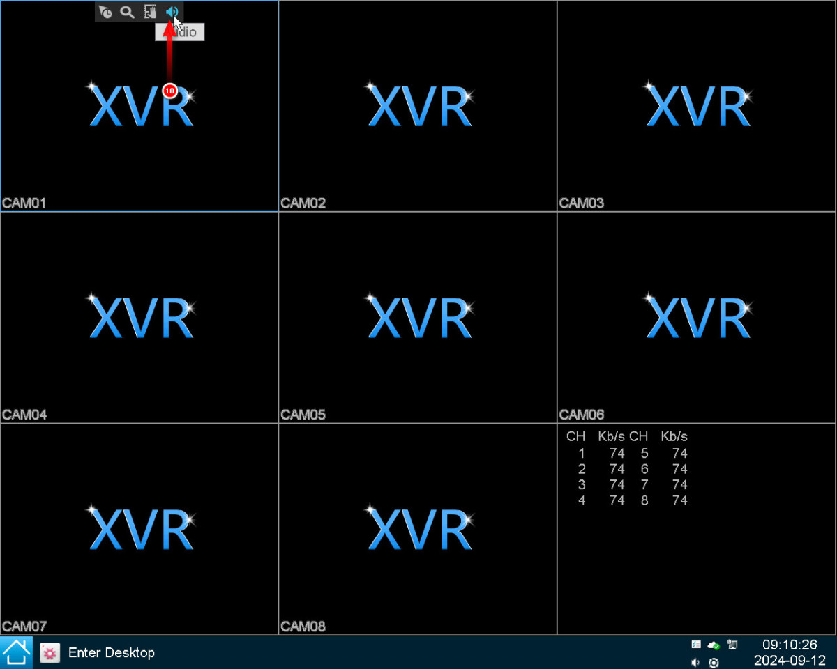 How to setup audio in the XVR?