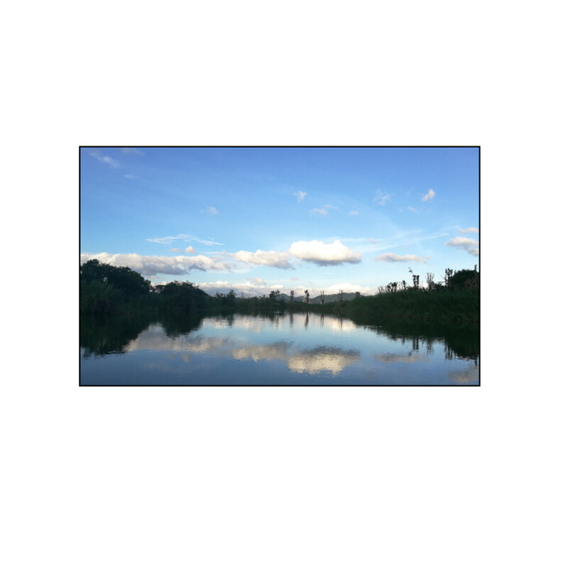 32’’ LED Monitor