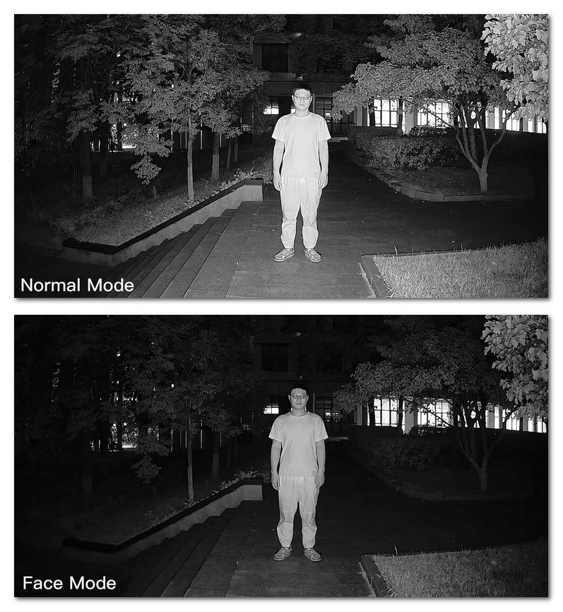 2024-03-11_152449.jpg How to enable Face Mode in the IP Camera?