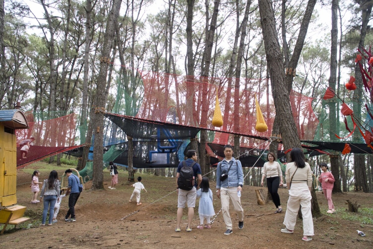 tree-trampoline-rope-net-anchoring-detail Tree Trampoline Net Play System for Outdoor Nature Playgrounds