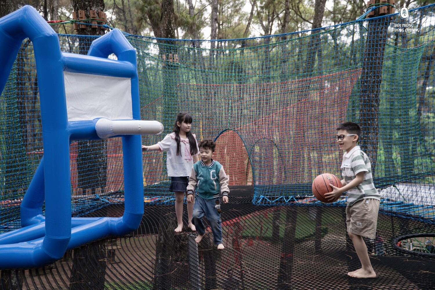 Tree Trampoline