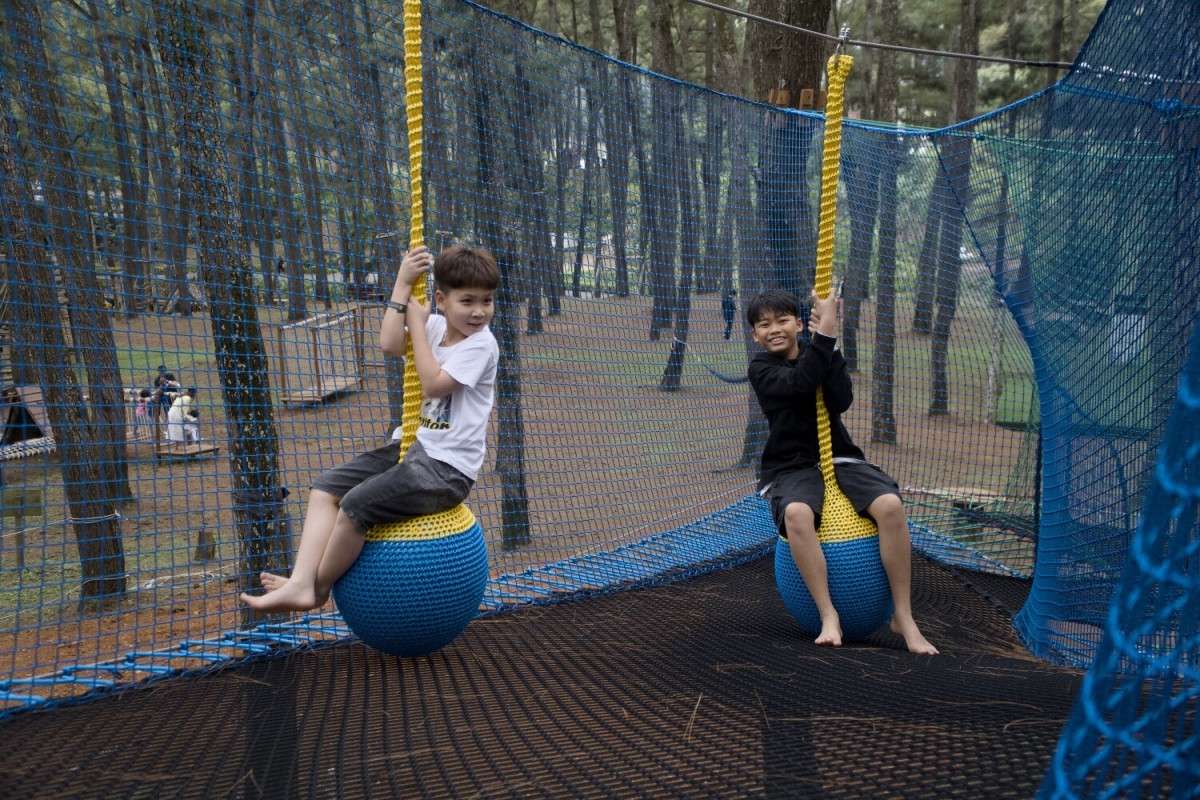 treetop-trampoline-net-adventure-experience Tree Trampoline Net Play System for Outdoor Nature Playgrounds