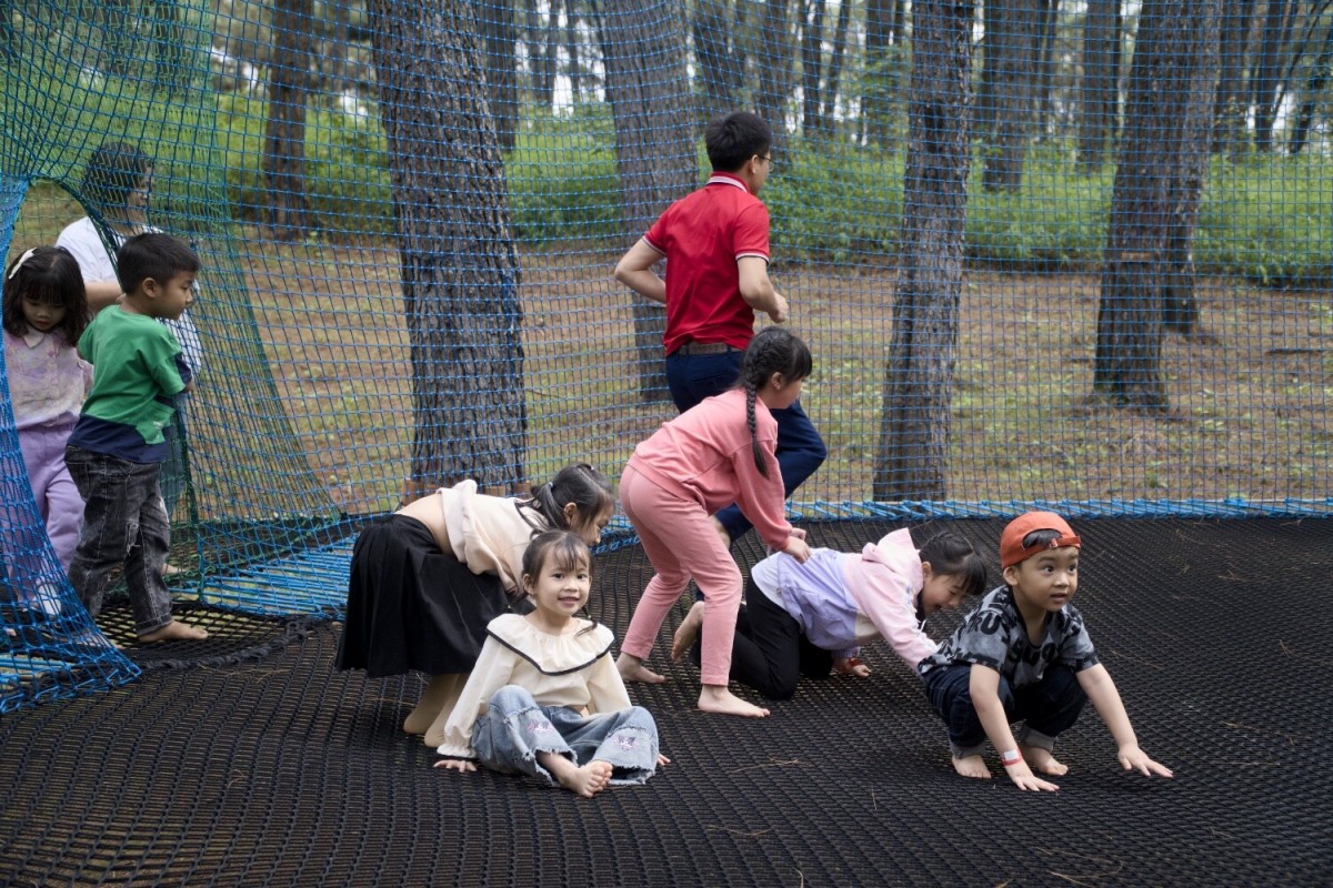 children-playing-on-tree-trampoline-net Tree Trampoline Net Play System for Outdoor Nature Playgrounds