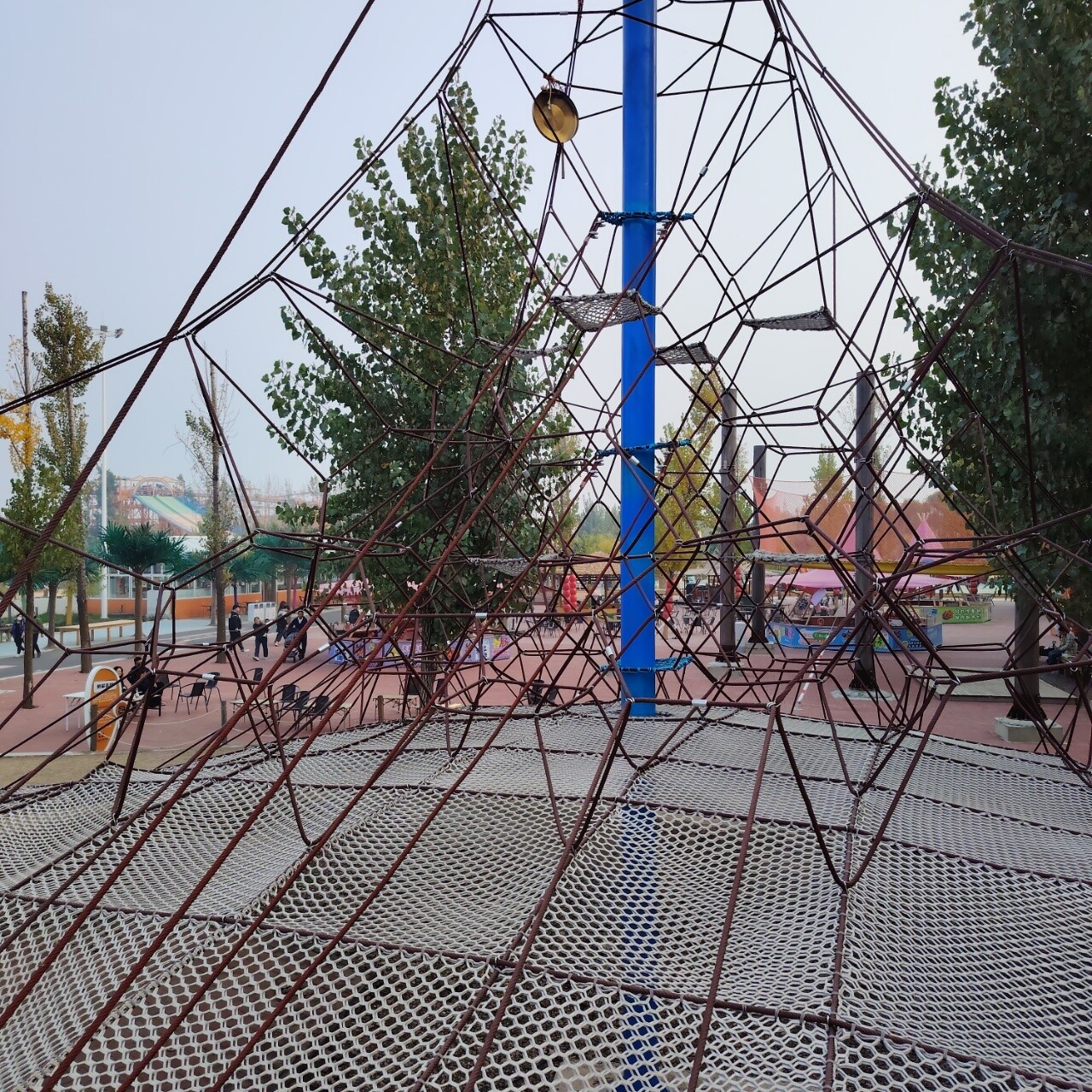 Summit Ascent Net