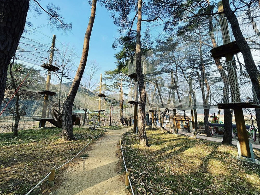 Jungle Rope Course
