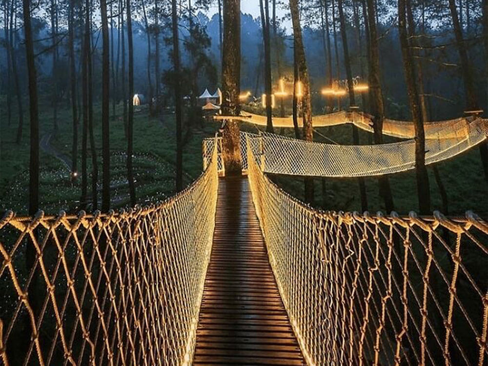 tree-based bridge