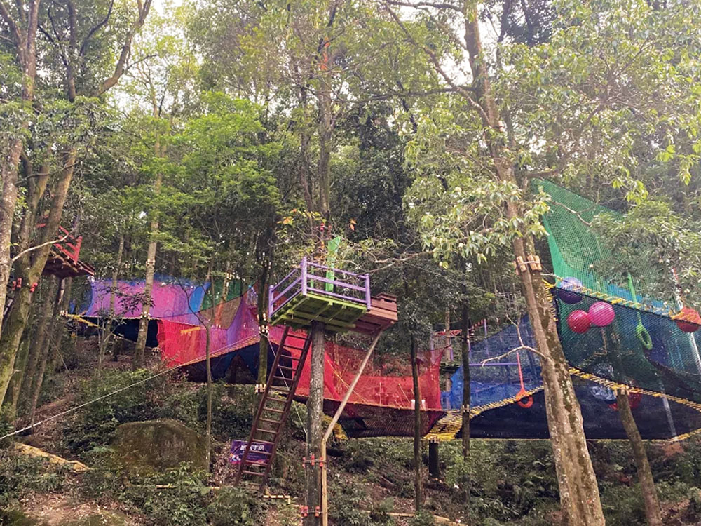 Treetop Nets