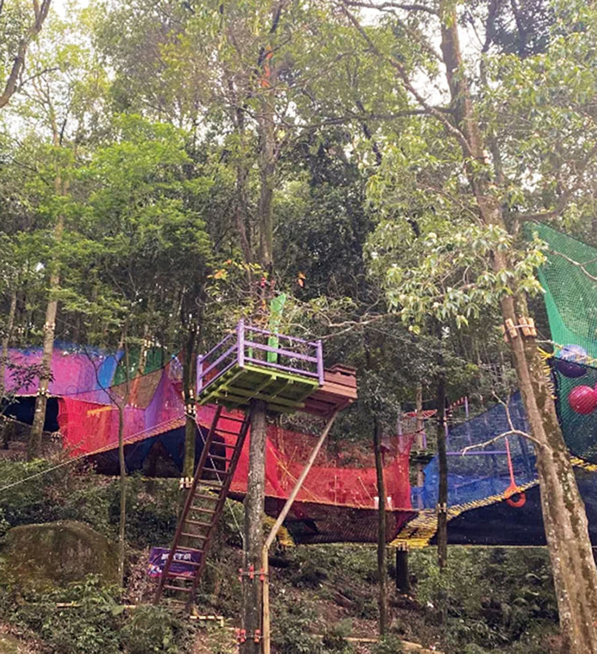 Treetop Nets Treetop Nets
