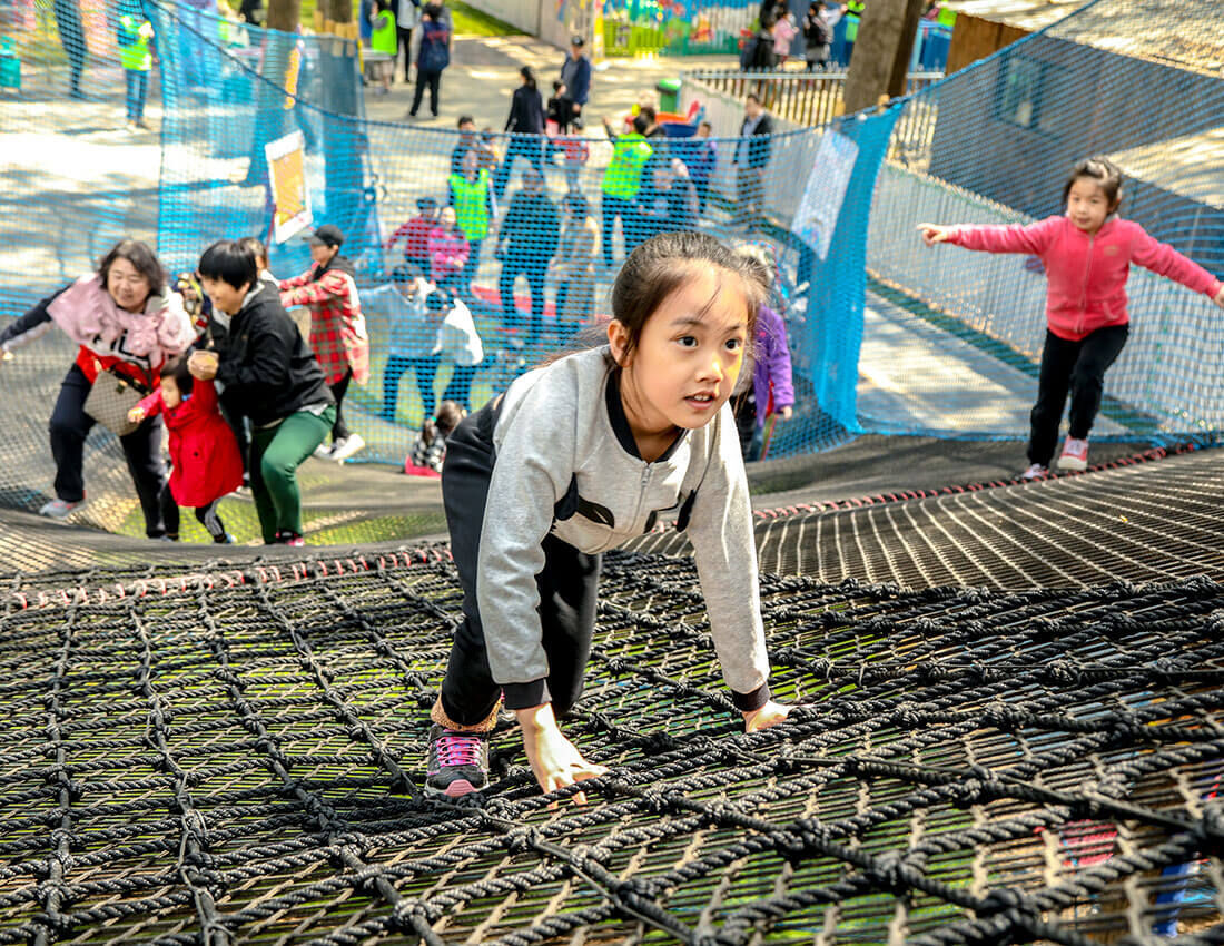 Treetop Nets