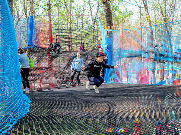 Treetop Nets