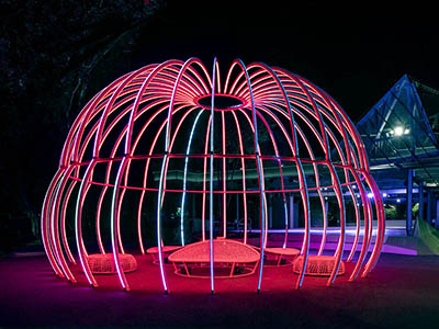 Art Installation