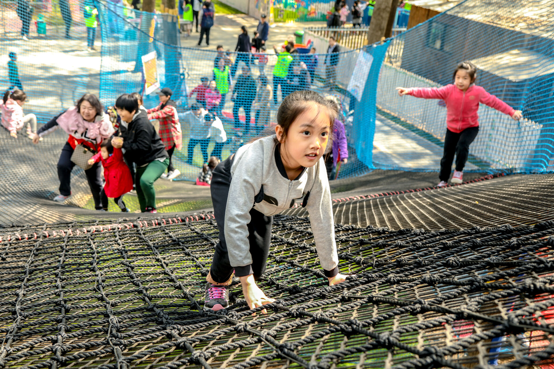 Treetop Nets