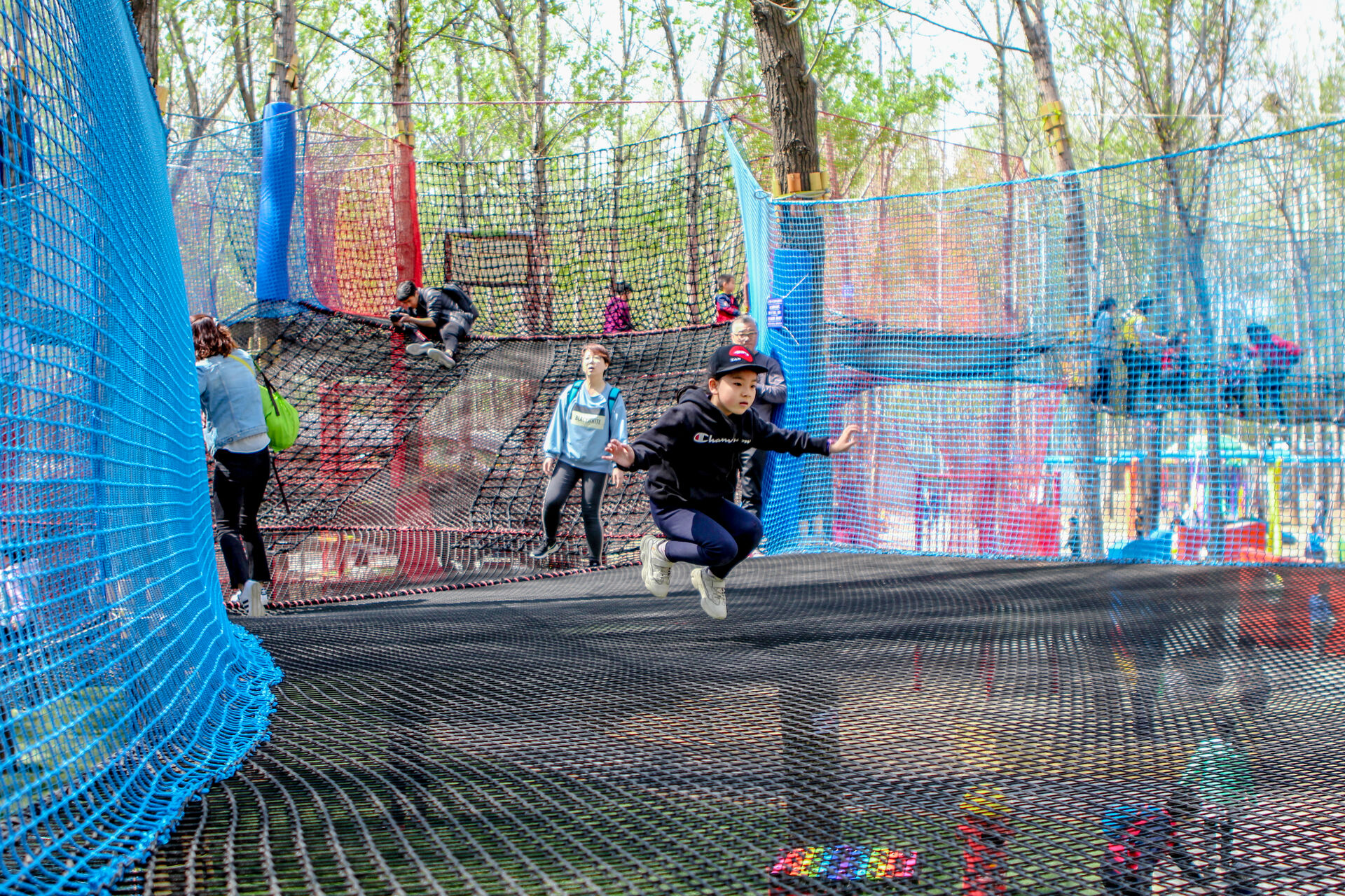 Treetop Nets