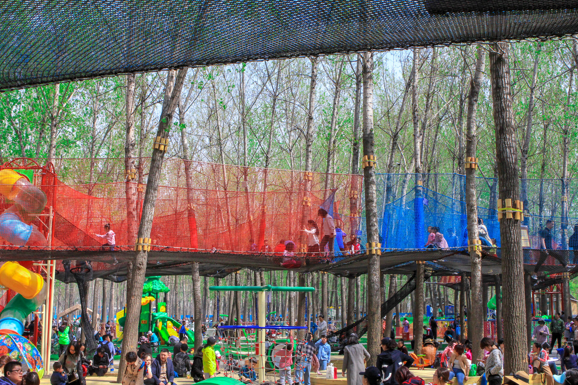 Treetop Nets
