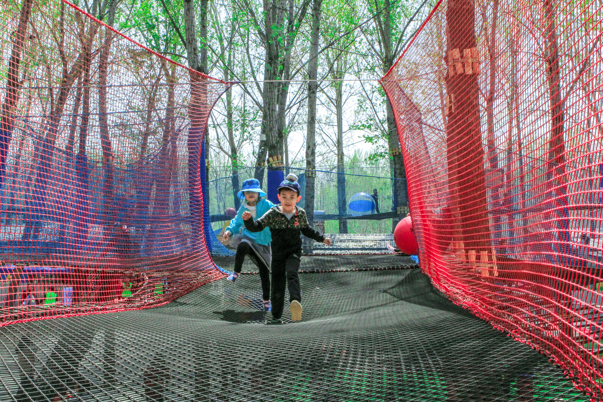 Treetop Nets