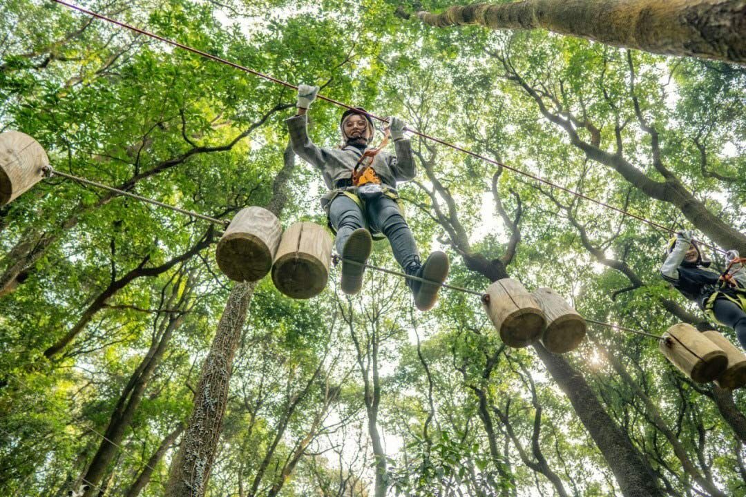 What are the advantages of outdoor jungle adventure?