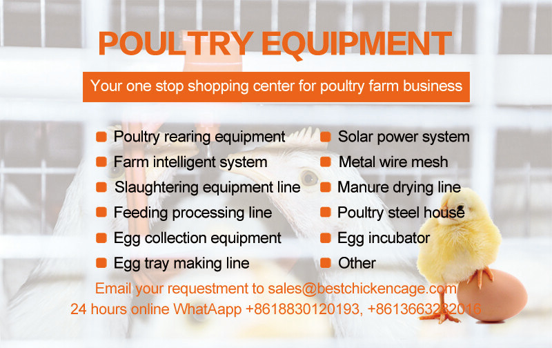 2.jpg New type of automatic h-type broiler cage can significantly reduce manual labour management and lower operational costs