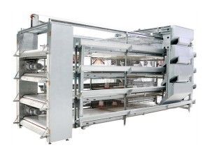 poultry battery cage price (4).jpg