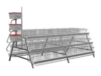 poultry battery cage 200 (2).png