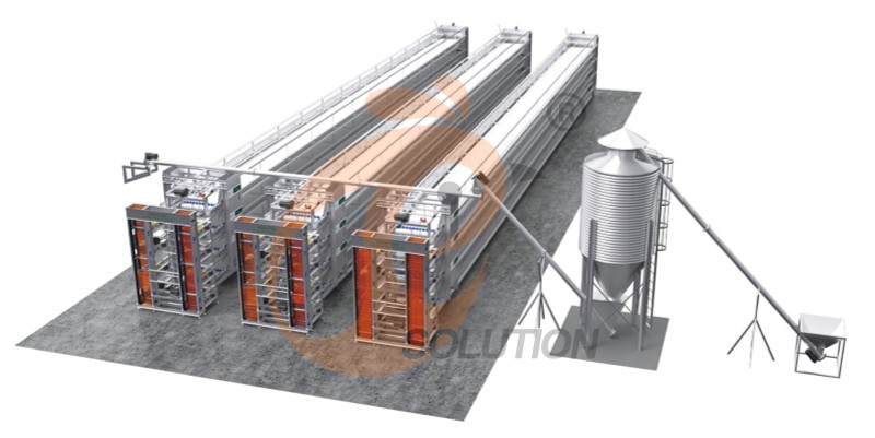 Nigeria poultry farm battery cage (3) Nigeria poultry farm battery cage (3)