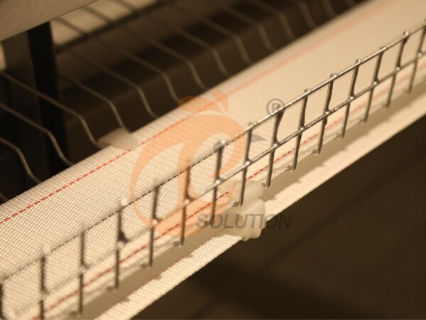Automatic Egg Collection For Poultry Cage