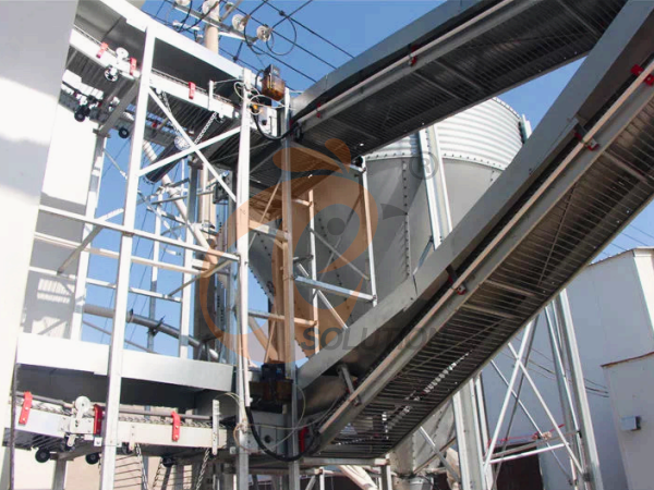 Poultry Farming In Nigeria: Cage Essentials
