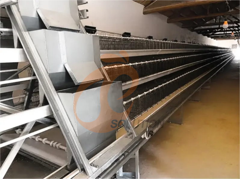 Automatic Feeding System For Poultry Cage
