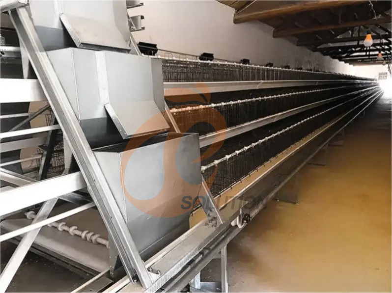battery cage system for broiler (3) battery cage system for broiler (3)