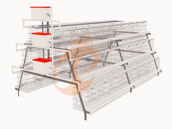 What Makes A Layer Cage System Efficient In Daily Operation