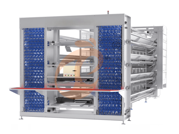 How To Slash Feed Costs In Nigerian Poultry Farming Without Sacrificing Quality