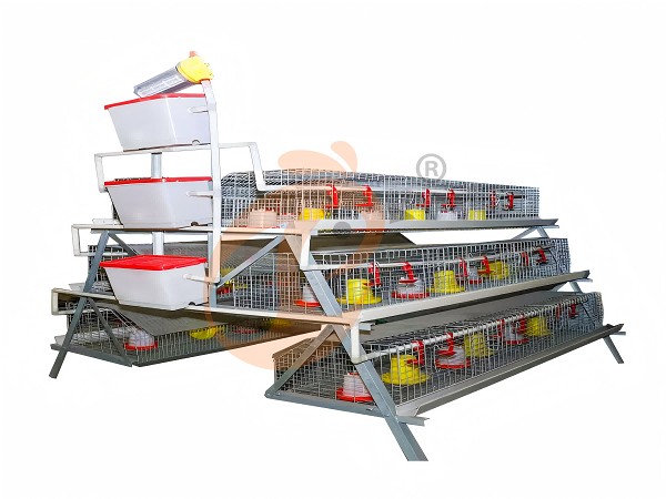 battery cage (32)