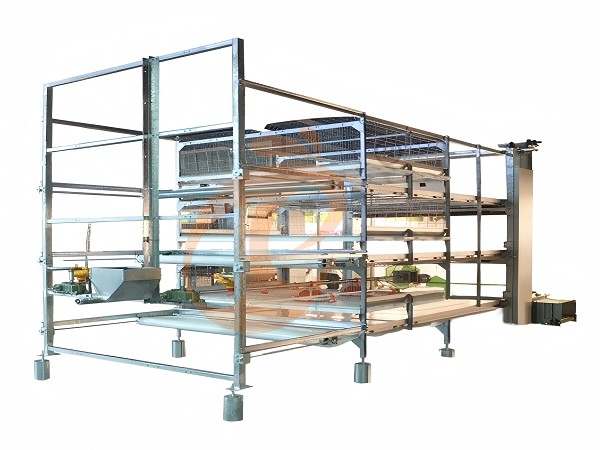 broiler battery cage (1)