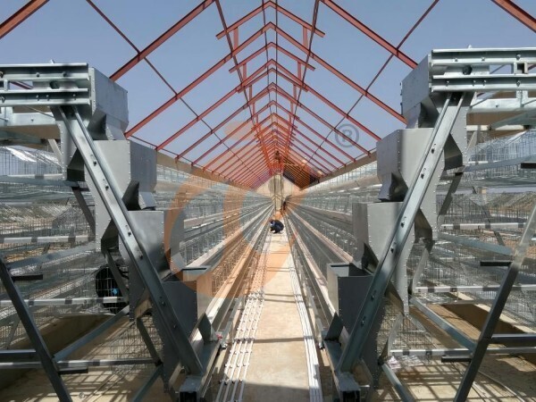 Prefab steel poultry house (3) Prefab steel poultry house (3)