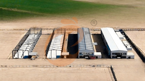 poultry house  (3)