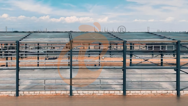 poultry house  (5)