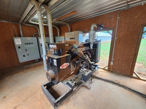 poultry farm (11)