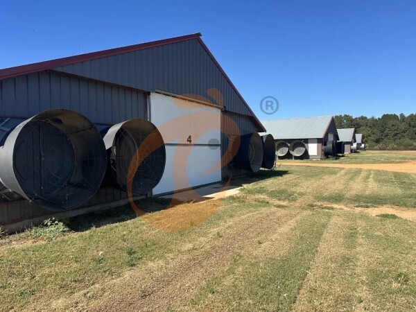 poultry farm (12) poultry farm (12)