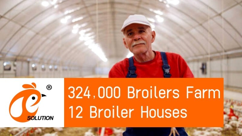 America 324,000 Broiler Poultry Farm, 12 Broiler Houses, Broiler Deep Litter System America 324,000 Broiler Poultry Farm, 12 Broiler Houses, Broiler Deep Litter System