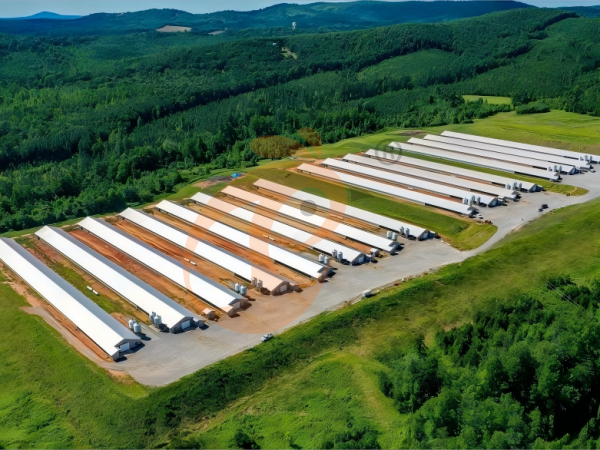 Modern Poultry House