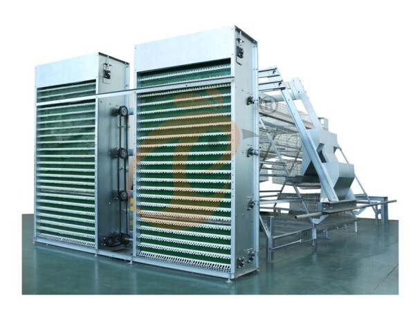 chicken battery cage poultry farm 1 (10)