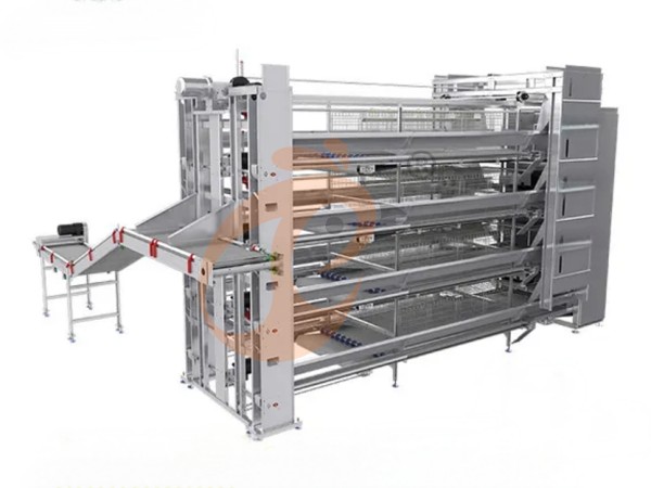 chicken battery cage poultry farm 1 (13) chicken battery cage poultry farm 1 (13)